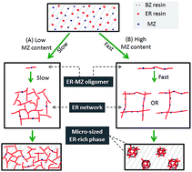 Graphical abstract: Reaction induced phase separation in thermosetting/thermosetting blends: effects of imidazole content on the phase separation of benzoxazine/epoxy blends