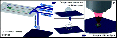 Graphical abstract: Microfluidics & nanotechnology: towards fully integrated analytical devices for the detection of cancer biomarkers