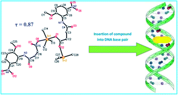 Graphical abstract: Organotin(iv) carboxylate derivatives as a new addition to anticancer and antileishmanial agents: design, physicochemical characterization and interaction with Salmon sperm DNA