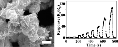 Graphical abstract: Flower-like In2O3 hierarchical nanostructures: synthesis, characterization, and gas sensing properties