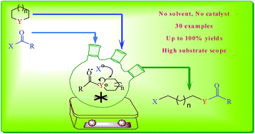 Graphical abstract: Synthesis of n-alkyl terminal halohydrin esters from acid halides and cyclic ethers or thioethers under solvent- and catalyst-free conditions