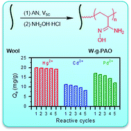 Graphical abstract: Wool graft polyacrylamidoxime as the adsorbent for both cationic and anionic toxic ions from aqueous solutions