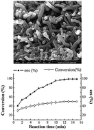 Graphical abstract: Enhancing enzyme activity and enantioselectivity of Burkholderia cepacia lipase via immobilization on modified multi-walled carbon nanotubes