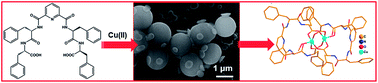 Graphical abstract: Ultrastructure of metallopeptide-based soft spherical morphologies