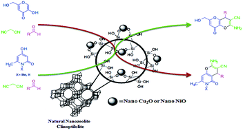 Graphical abstract: Synthesis, characterization, and application of Cu2O and NiO nanoparticles supported on natural nanozeolite clinoptilolite as a heterogeneous catalyst for the synthesis of pyrano[3,2-b]pyrans and pyrano[3,2-c]pyridones