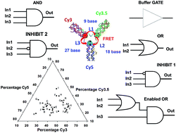 Graphical abstract: A triangular three-dye DNA switch capable of reconfigurable molecular logic
