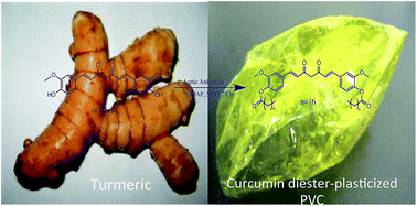 Graphical abstract: Curcumin-derived green plasticizers for poly(vinyl) chloride