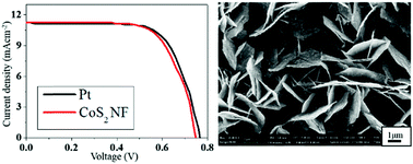 Graphical abstract: Preparation of CoS2 nanoflake arrays through ion exchange reaction of Co(OH)2 and their application as counter electrodes for dye-sensitized solar cells