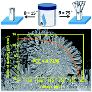 Graphical abstract: Substrate placement angle-dependent growth of dandelion-like TiO2 nanorods for solid-state semiconductor-sensitized solar cells