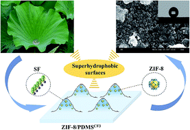 Graphical abstract: Designing superhydrophobic surfaces with SAM modification on hierarchical ZIF-8/polymer hybrid membranes for efficient bioalcohol pervaporation
