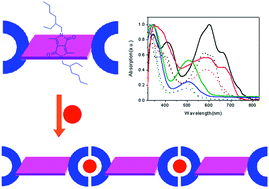 Graphical abstract: Synthesis and properties of Zn2+/Cd2+-directed self-assembled metallo-supramolecular polymers based on 1,4-diketo-pyrrolo[3,4-c]pyrrole (DPP) derivatives