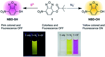 Graphical abstract: Single molecular multianalyte signaling of sulfide and azide ions by a nitrobenzoxadiazole-based probe