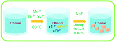 Graphical abstract: Synthesis of Er3+/Yb3+ codoped NaMnF3 nanocubes with single-band red upconversion luminescence