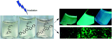 Graphical abstract: Fluorescent micellar nanoparticles by self-assembly of amphiphilic, nonionic and water self-dispersible polythiophenes with “hairy rod” architecture