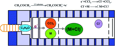 Graphical abstract: Negative photoionization chloride ion attachment ion mobility spectrometry for the detection of organic acids