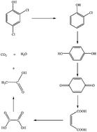 Graphical abstract: Degradation of 2,4-dichlorophenol in wastewater by low temperature plasma coupled with TiO2 photocatalysis