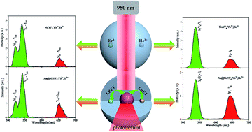 Graphical abstract: Construction of Au@NaYF4:Yb3+,Er3+/Ho3+ bifunctional hybrid nanocomposites with upconversion luminescence and photothermal properties