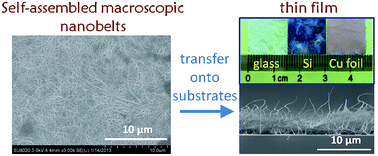 Graphical abstract: Large-scale synthesis of self-assembled ultralong cannonite nanobelt film as a visible-light photocatalyst