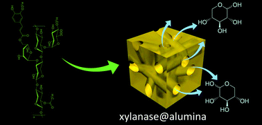 Graphical abstract: Exceptional thermal stability of industrially-important enzymes by entrapment within nano-boehmite derived alumina