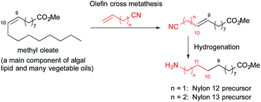 Graphical abstract: Cross-metathesis approach to produce precursors of nylon 12 and nylon 13 from microalgae