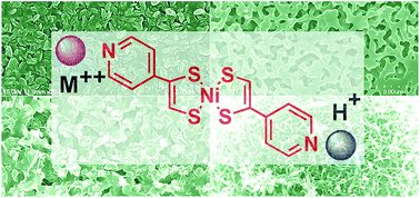 Graphical abstract: Photocurrent responsive films prepared from a nickel-dithiolate compound with directly bonded pyridyl groups