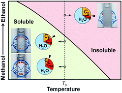 Graphical abstract: Visual detection of methanol in alcoholic beverages using alcohol-responsive poly(N-isopropylacrylamide-co-N,N-dimethylacrylamide) copolymers as indicators