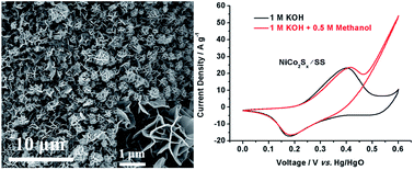 Graphical abstract: Direct growth of NiCo2Sx nanostructures on stainless steel with enhanced electrocatalytic activity for methanol oxidation