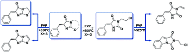 Graphical abstract: (S)-5-Benzyl- and 5-benzylidene-imidazo-4-one derivatives synthesized and studied for an understanding of their thermal reactivity