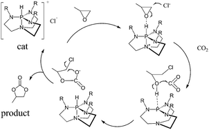 Graphical abstract: Intermolecular proton transfer in cyclic carbonate synthesis from epoxide and carbon dioxide catalyzed by azaphosphatranes: a DFT mechanistic study
