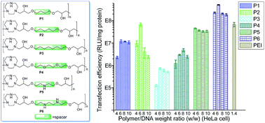 Graphical abstract: Linear TACN-based cationic polymers as non-viral gene vectors