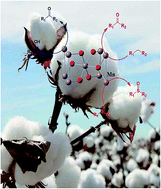 Graphical abstract: Cellulose supported manganese dioxide nanosheet catalyzed aerobic oxidation of organic compounds