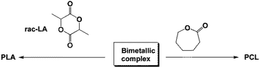 Graphical abstract: Highly stereoselective bimetallic complexes for lactide and ε-caprolactone polymerization