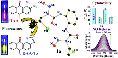 Graphical abstract: Nitric oxide release by N-(2-chloroethyl)-N-nitrosoureas: a rarely discussed mechanistic path towards their anticancer activity