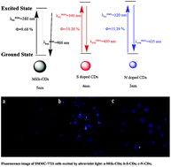 Graphical abstract: Luminescent properties of milk carbon dots and their sulphur and nitrogen doped analogues