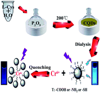 Graphical abstract: Porous carbon quantum dots: one step green synthesis via l-cysteine and applications in metal ion detection