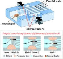 Graphical abstract: Selective droplet sampling using a minimum number of horizontal pneumatic actuators in a high aspect ratio and highly flexible PDMS device