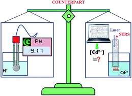 Graphical abstract: Surface enhanced Raman scattering fiber optic sensor as an ion selective optrode: the example of Cd2+ detection