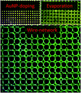 Graphical abstract: Latex particle template lift-up guided gold wire-networks via evaporation lithography