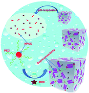 Graphical abstract: pH-Responsive supramolecular hydrogels for codelivery of hydrophobic and hydrophilic anticancer drugs