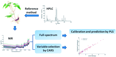 Graphical abstract: Application of near infrared spectroscopy for the rapid determination of epimedin A, B, C and icariin in Epimedium