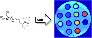 Graphical abstract: Synthesis and in vitro phantom NMR and MRI studies of fully organic free radicals, TEEPO-glucose and TEMPO-glucose, potential contrast agents for MRI