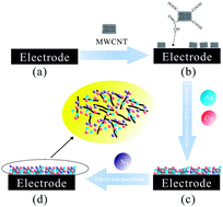 Graphical abstract: Facile preparation of a highly sensitive nonenzymatic glucose sensor based on multi-walled carbon nanotubes decorated with electrodeposited metals