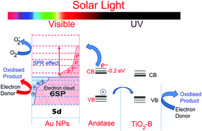 Graphical abstract: Gold nanoparticles immobilized on crystalline titanate fibres and shuttling effect of charges in solar photocatalysis