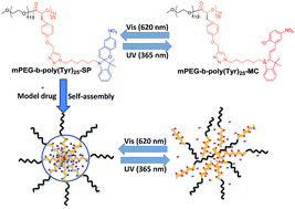 Graphical abstract: Spiropyran-decorated light-responsive amphiphilic poly(α-hydroxy acids) micelles constructed via a CuAAC reaction