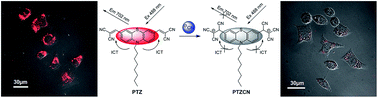 Graphical abstract: A near-infrared “on–off” fluorescent and colourimetric cyanide chemodosimeter based on phenothiazine with applications in living cell imaging