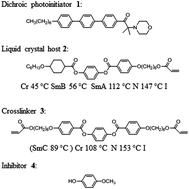 Graphical abstract: Polarization-selective polymerization in a photo-crosslinking monomer film