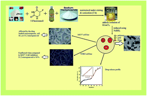 Graphical abstract: An in vitro cytotoxicity study of 5-fluorouracil encapsulated chitosan/gold nanocomposites towards MCF-7 cells