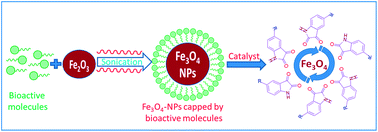 Graphical abstract: Sonochemically synthesized ferromagnetic Fe3O4 nanoparticles as a recyclable catalyst for the preparation of pyrrolo[3,4-c]quinoline-1,3-dione derivatives