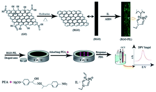 Graphical abstract: An electrochemical sensor for the sensitive determination of phenylethanolamine A based on a novel composite of reduced graphene oxide and poly(ionic liquid)