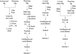 Graphical abstract: Influence of a non-dairy probiotic matrix based on wheat bran and soybean meal on lactic acid bacteria growth